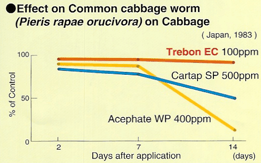 Effects on common cabbage worm on cabbage