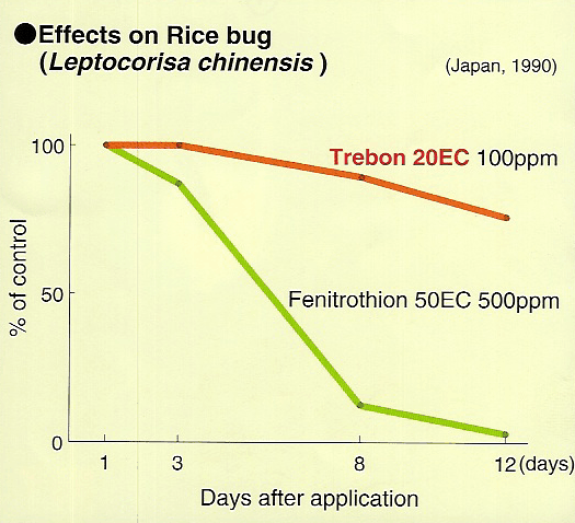 Effects on rice bug