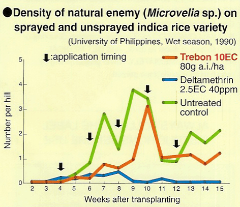 Density of natural enemy on sprayed and unsprayed indica rice variety