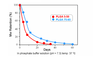 Hydrolysis of PLGA in vitro (Molecular Weight) 